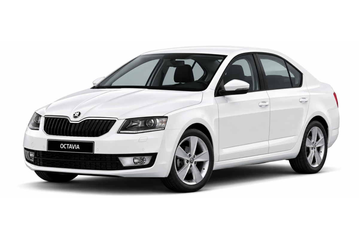 SKODA OCTAVIA 2015 - MANUAL